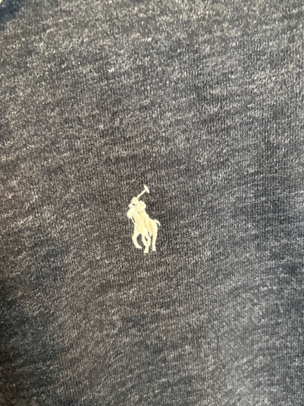 Polo Ralph Lauren Men's Classic Full Zip Fleece Hoodie - Picture 5 of 7